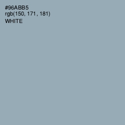 #96ABB5 - Gull Gray Color Image